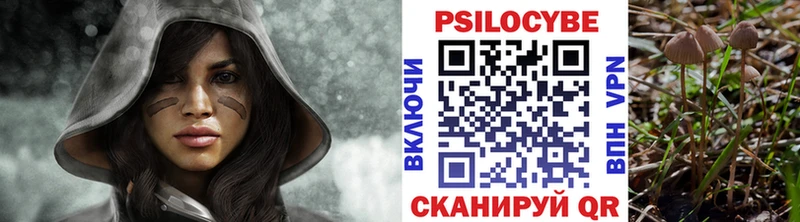 Псилоцибиновые грибы Magic Shrooms  кракен онион  Элиста 